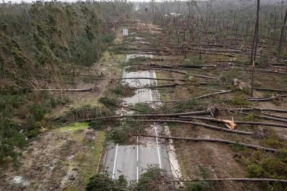 Depois da tempestade Kristin, a Naturalema continua a avançar